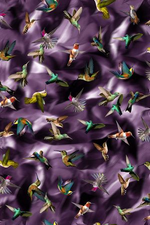 蜂鸟印花华亿平台图片