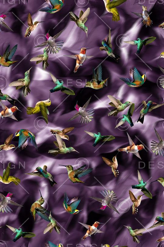 蜂鸟印花华亿平台图片