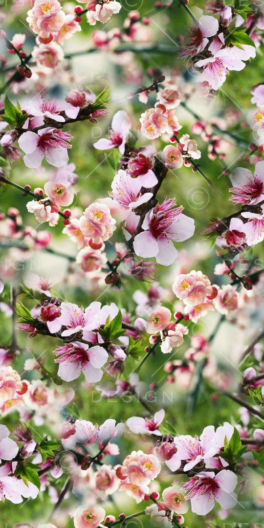 朦胧小清新印花华亿平台图片