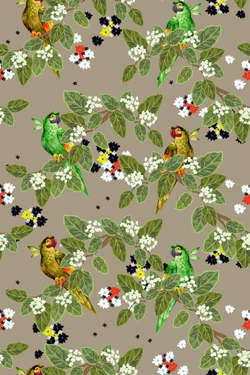 406285-热带风情鹦鹉绿色植物男装衬衫T恤外