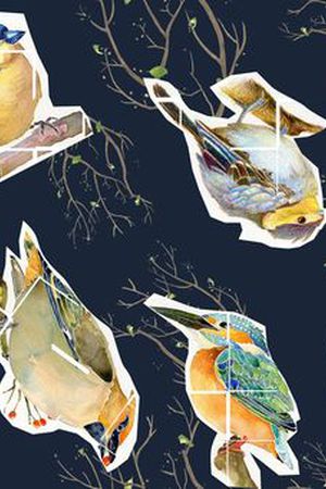 鸟花印花华亿平台图片