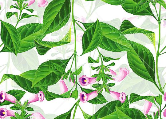 手绘插画印花华亿平台图片