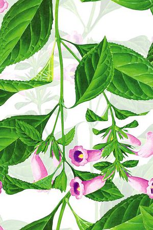 手绘插画印花华亿平台图片