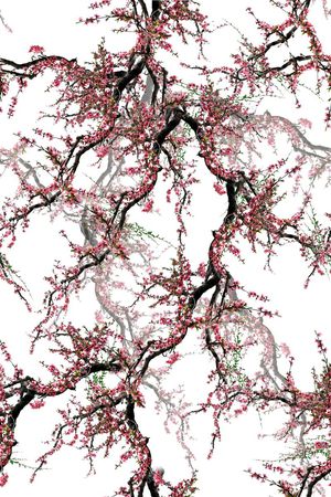 2015清爽数码桃柳印花华亿平台图片