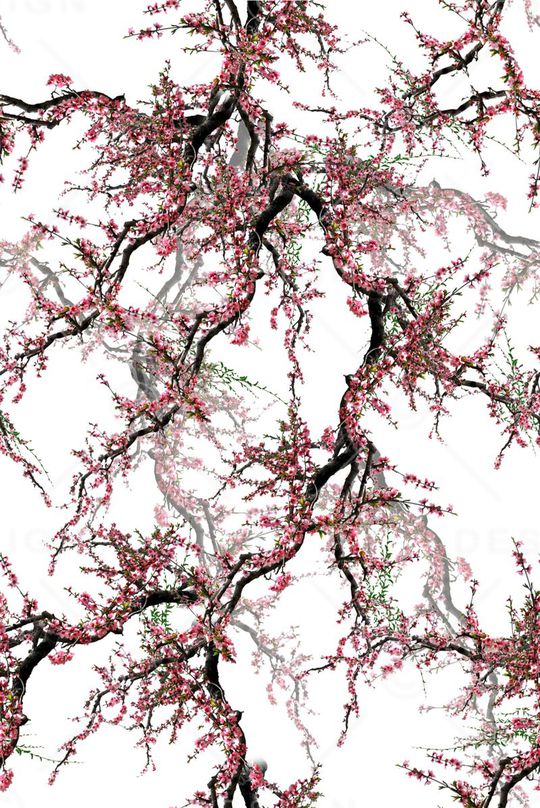 2015清爽数码桃柳印花华亿平台图片