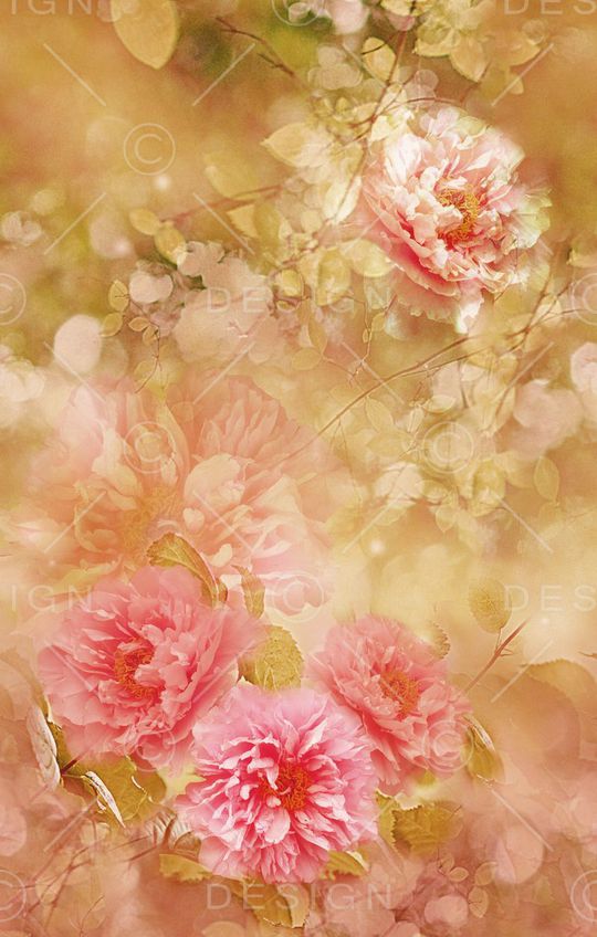 摄影风格印花华亿平台图片