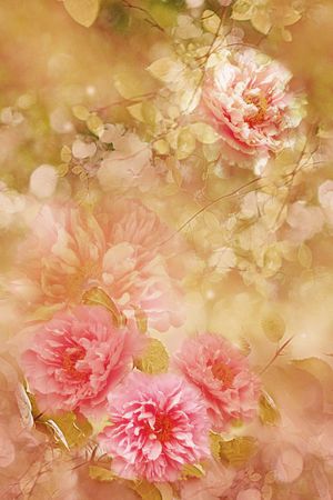 摄影风格印花华亿平台图片