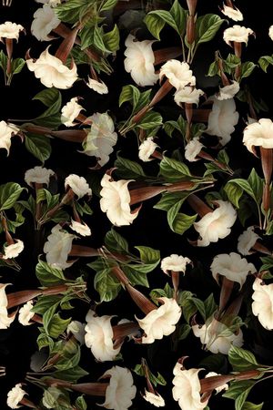 休闲印花华亿平台图片