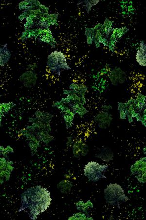 休闲印花华亿平台图片