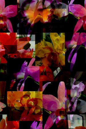 花卉 华亿平台印花华亿平台图片