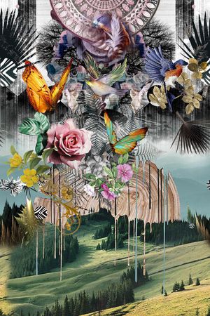 蝴蝶印花华亿平台图片