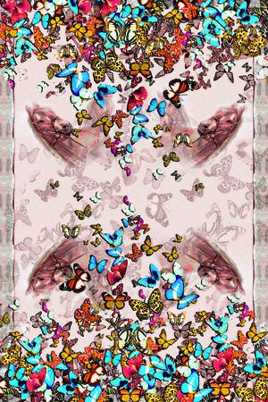 蝴蝶印花华亿平台图片