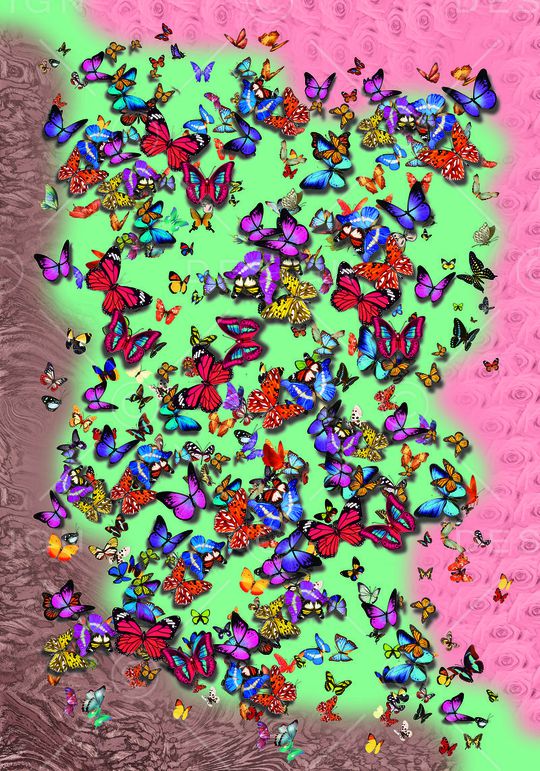 蝴蝶印花华亿平台图片