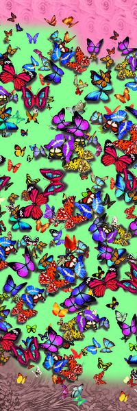 蝴蝶印花华亿平台图片