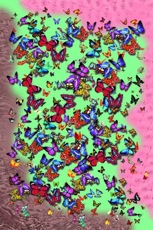 蝴蝶印花华亿平台图片