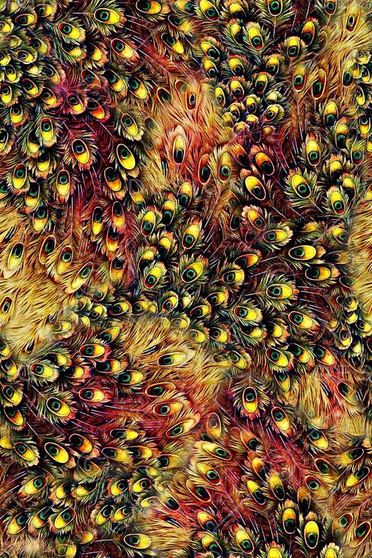 动物羽毛印花华亿平台图片