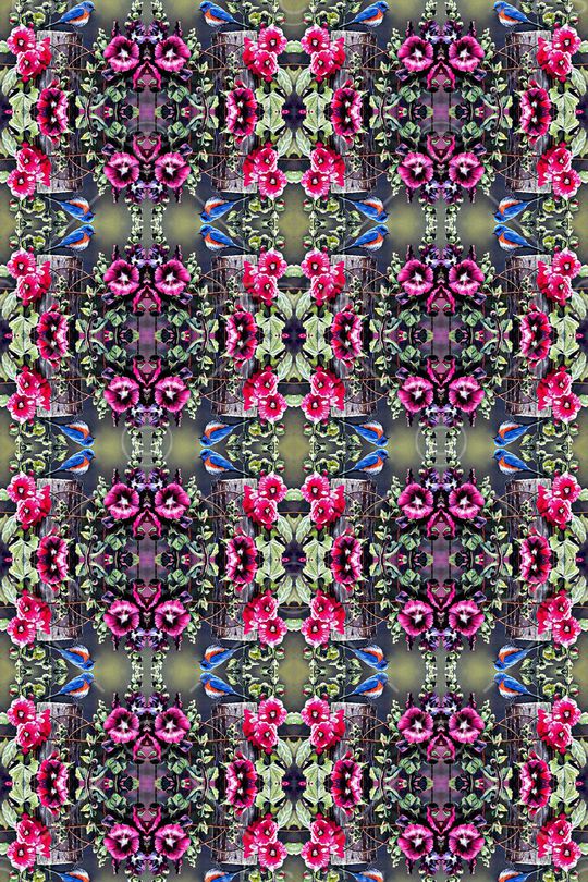 花鸟印花华亿平台图片