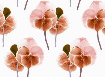 406741-2015 简约花卉