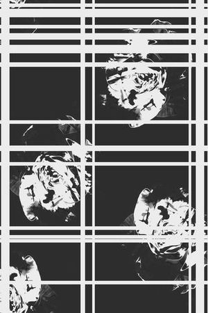 时尚印花华亿平台图片