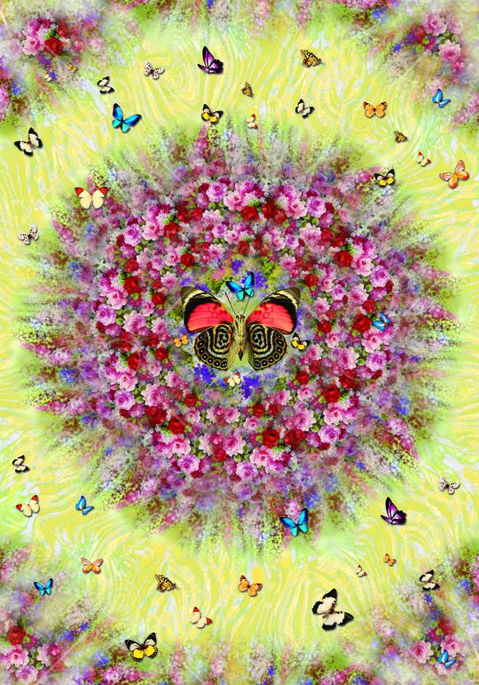 蝴蝶印花华亿平台图片