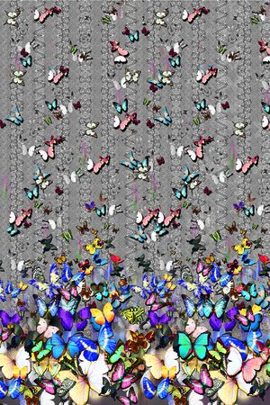 蝴蝶印花华亿平台图片