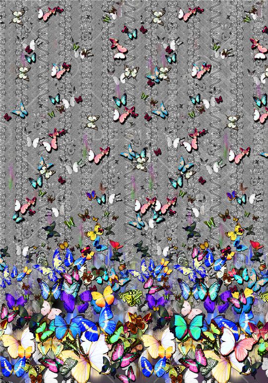 蝴蝶印花华亿平台图片