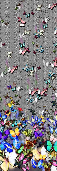 蝴蝶印花华亿平台图片