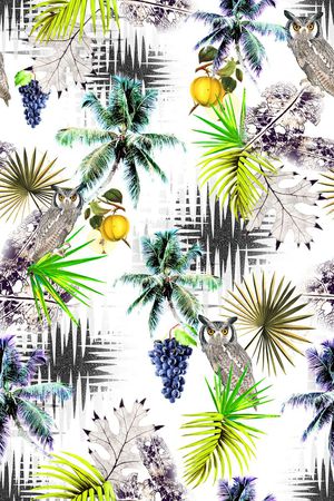 猫头鹰印花华亿平台图片