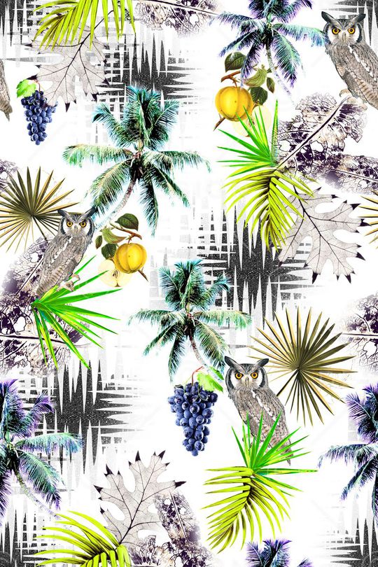 猫头鹰印花华亿平台图片