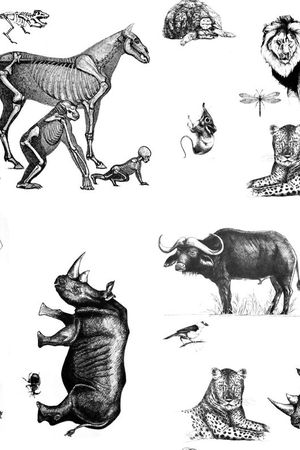 潮流印花华亿平台图片