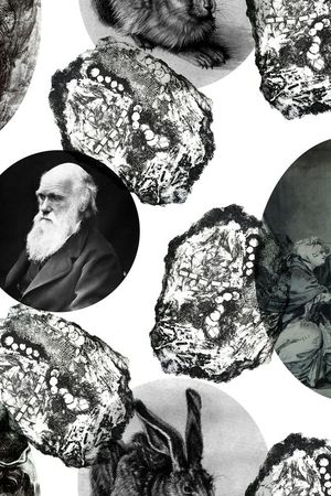 潮流印花华亿平台图片