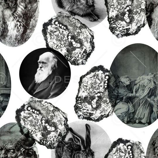 潮流印花华亿平台图片