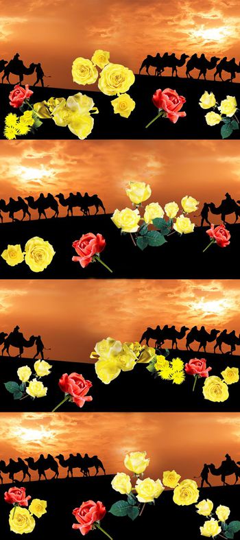 406914-沙漠驼影风景女装家纺窗帘