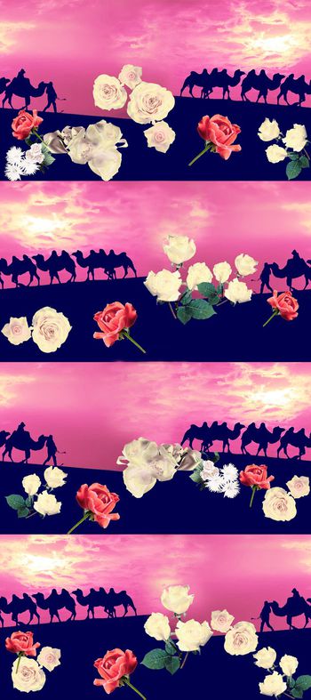 406917-沙漠驼影风景女装家纺窗帘