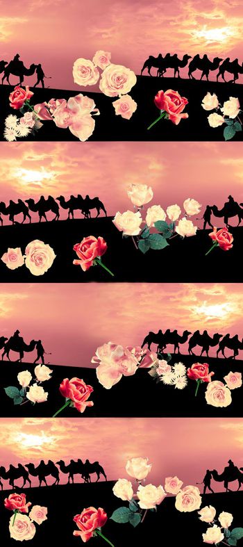 406918-沙漠驼影风景女装家纺窗帘