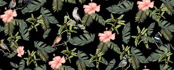 406921-花鸟植物怀旧