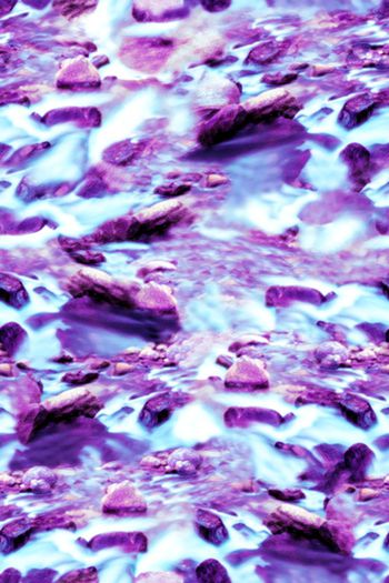 406930-溪流服装家纺窗帘等