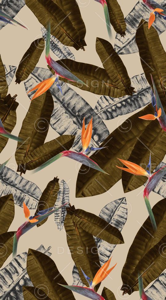 大爷片印花华亿平台图片