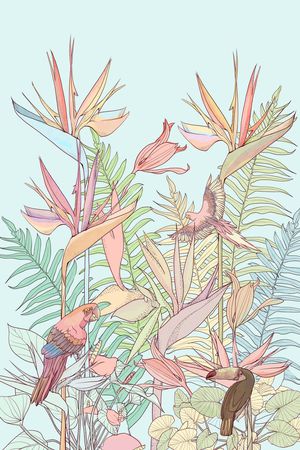 天堂鸟印花华亿平台图片