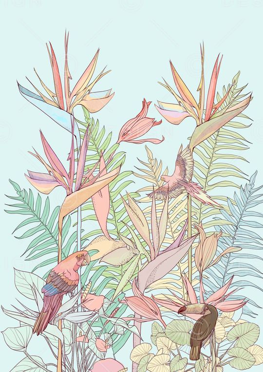 天堂鸟印花华亿平台图片