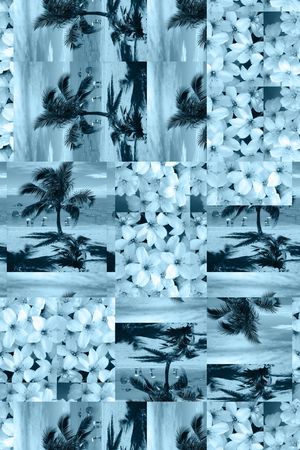 拼贴、热带印花华亿平台图片