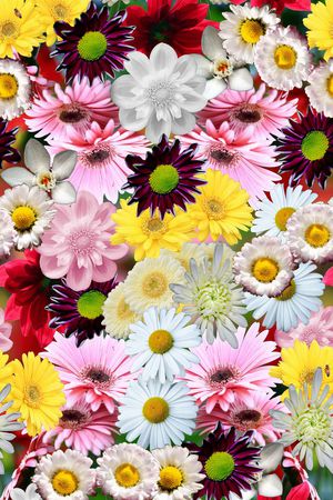 花印花华亿平台图片