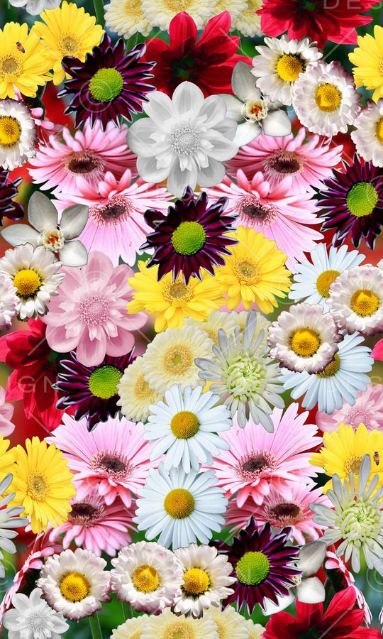 花印花华亿平台图片