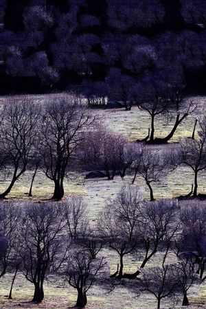 夹克印花华亿平台图片