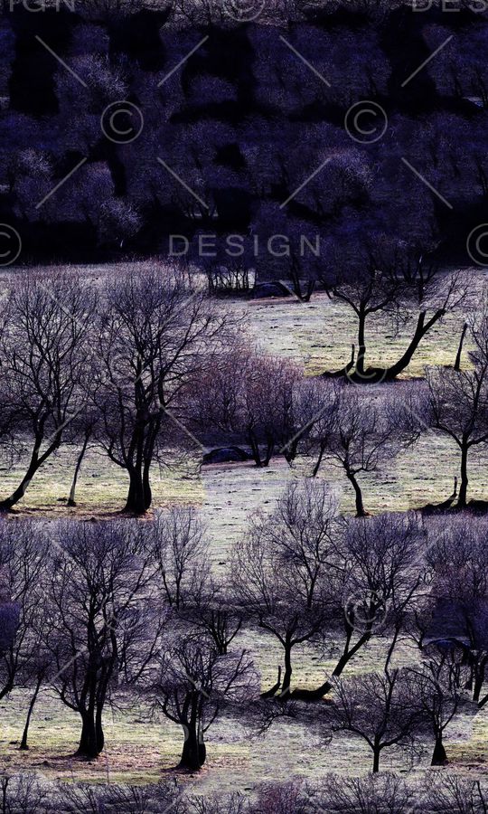 夹克印花华亿平台图片