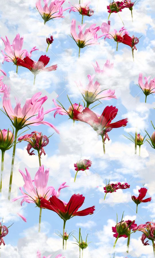 白云印花华亿平台图片