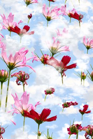 白云印花华亿平台图片