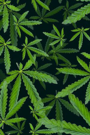 欧美时尚印花华亿平台图片