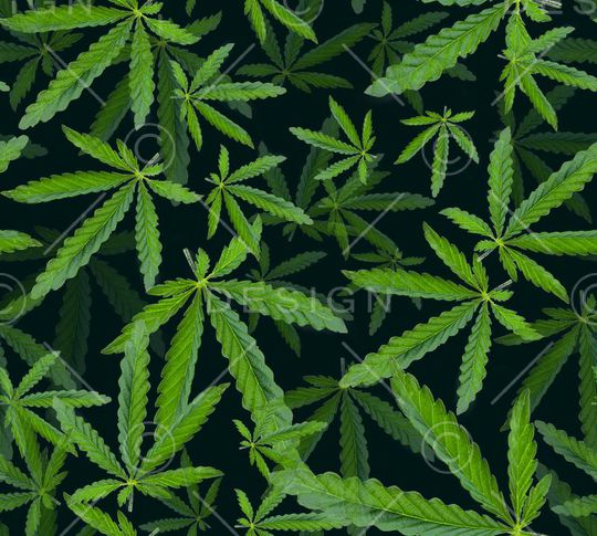 欧美时尚印花华亿平台图片