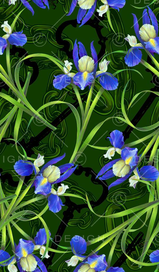 鸢尾印花华亿平台图片